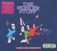 The Wonder Stuff - Cursed With Insincerity