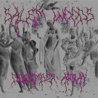 Salem Woods - DECEMBER ARRAY*