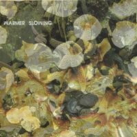 Acid Glasses - Warmer Slowing