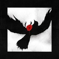We Lost The Sea - Everything Here Is Black and Blinding