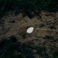 Monasunne - Fields become sky