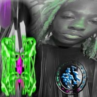 Pinkfosamil - fosa da prince