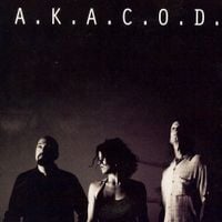 A.K.A.C.O.D. - Happiness