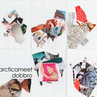 Dobbro - arcticameet