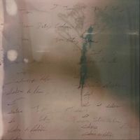 Solace In Bloom - Split