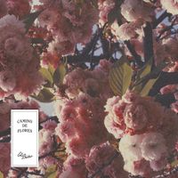 El B&uacute;ho - Camino de Flores