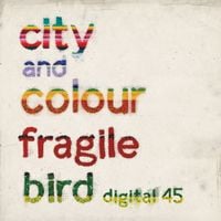 City and Colour - Fragile Bird