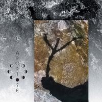 Apoptose - Nordland