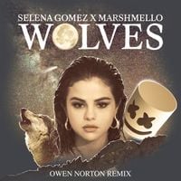 Selena Gomez - Wolves (Owen Norton Remix)