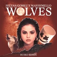 Selena Gomez - Wolves (Rusko Remix)