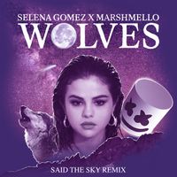 Selena Gomez - Wolves (Said The Sky Remix)
