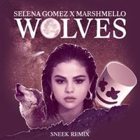 Selena Gomez - Wolves (Sneek Remix)