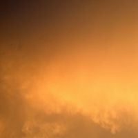 Online - demo3