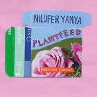 Nil&uuml;fer Yanya - Plant Feed