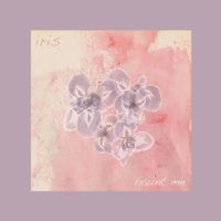 Bliss Fields - Haunt Me