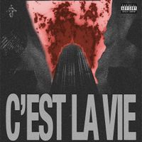 Moving In Silence - C'EST LA VIE (DELUXE)
