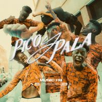 Munic HB - Pico y Pala