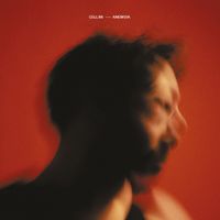 Cellini - Anemoia