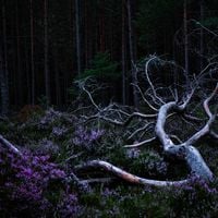 Aho Ssan & Resina - Ego Death