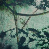 gyrofield - Rorschach