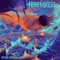 Haxprocess - Beyond What Eyes Can See