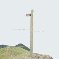 Tiny Leaves - View From Here