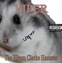 Viper - The Hiram Clarke Hamster