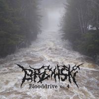 BRZOWSKI - Blooddrive Vol. 4