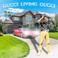Gucci Ice - Gucci Living Gucci
