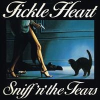 Sniff 'n' The Tears - Fickle Heart