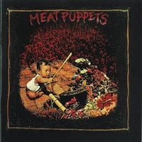 Meat Puppets - Meat Puppets