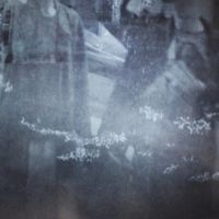 Ngahere Wafer - Still River