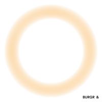 Ľubom&iacute;r Burgr - Burgr &