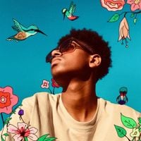 jsphth3rd - Hummingbirds