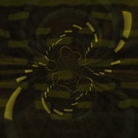 PlyMat - del Ply pal KT