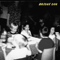 Bridge Dog - Auto Fictions