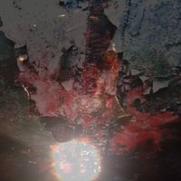 Bootblacks - Veins