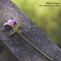 White Town - Don't Mention the War