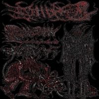 Calsutmoran - The Shroom Nosfunkratu