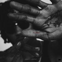 Lil Twist - Anger Management