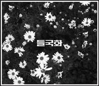 들국화 [Deul Guk Hwa] - 4집 들국화