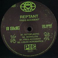 Reptant - Freq Accident