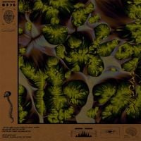 ProN4c [蒲洛纳] - 植物神经紊乱