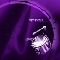 Apoptose - Blutopfer