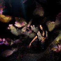 Mandyspie - MINUIT MOINS UNE