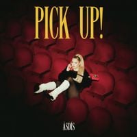 &Aacute;SD&Iacute;S - Pick Up