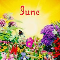 Cars & Trains - June