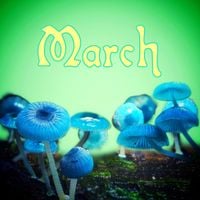 Ceschi - March