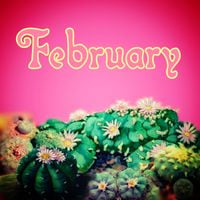 Ceschi - February
