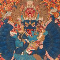 Kimchi - Qi
